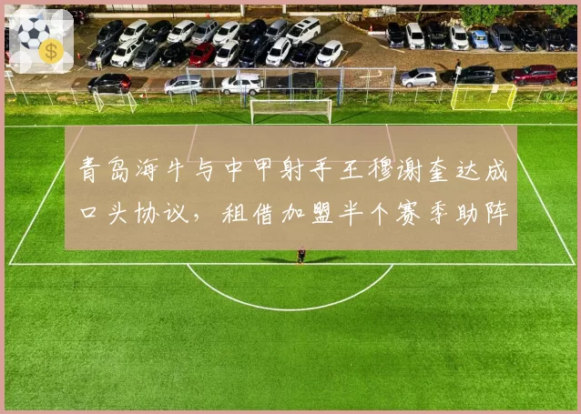 青岛海牛与中甲射手王穆谢奎达成口头协议,租借加盟半个赛季助阵保级